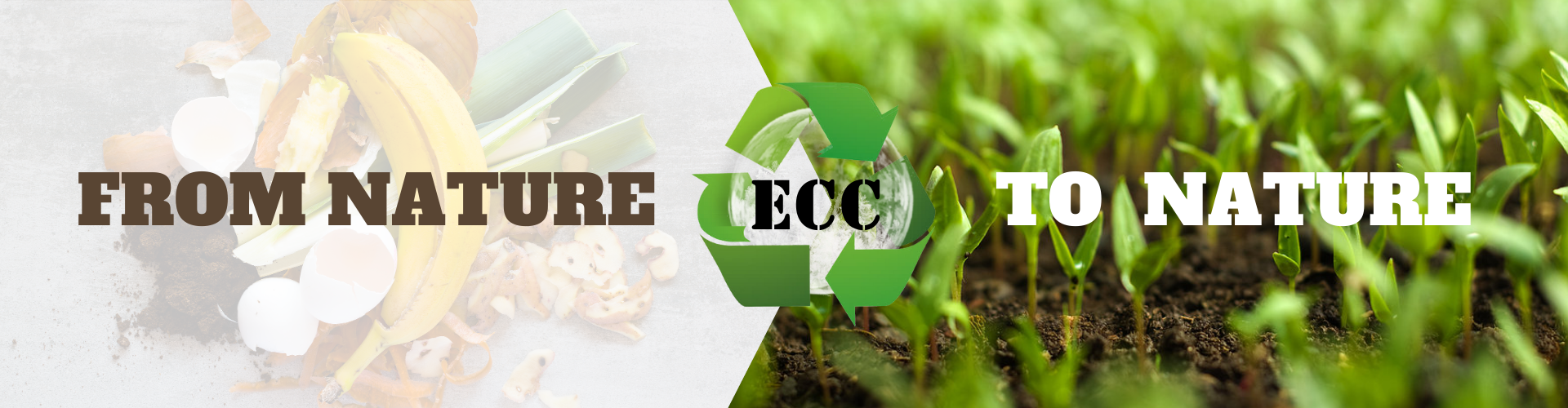 ECC food waste solution